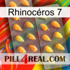 Rhinocéros 7 cialis2